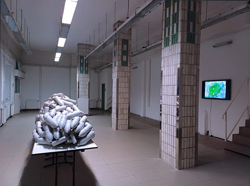 installáció: műanyag palackokból épített plasztika, videó