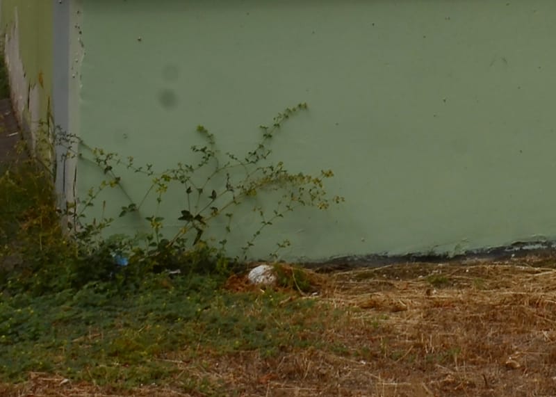 fotóinstalláció, kiadvány