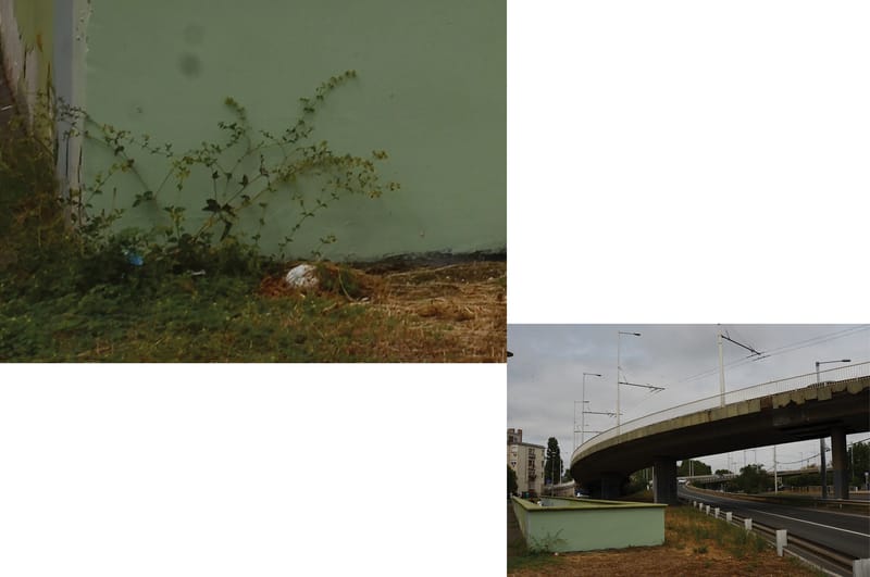 fotóinstalláció, kiadvány