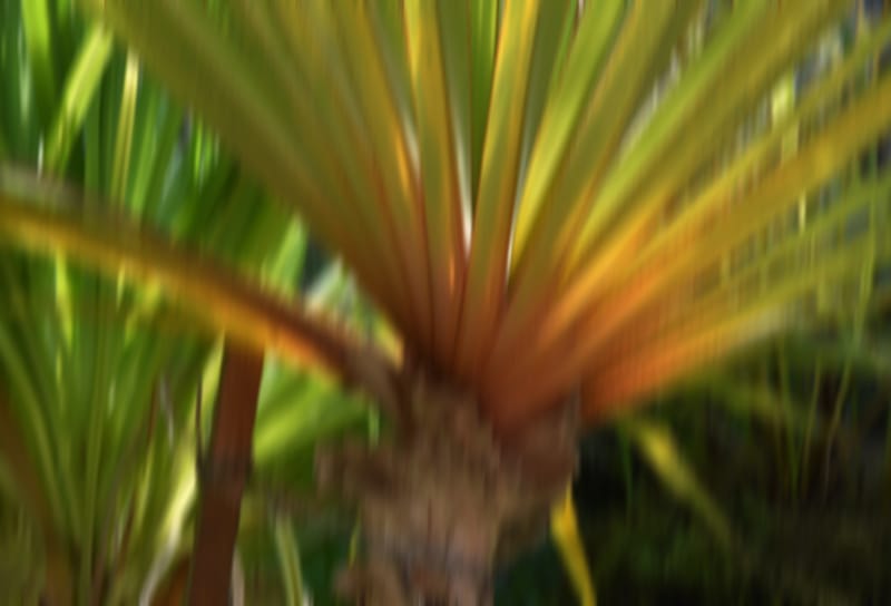 installáció: műanyag palackokból épített plasztika, videó