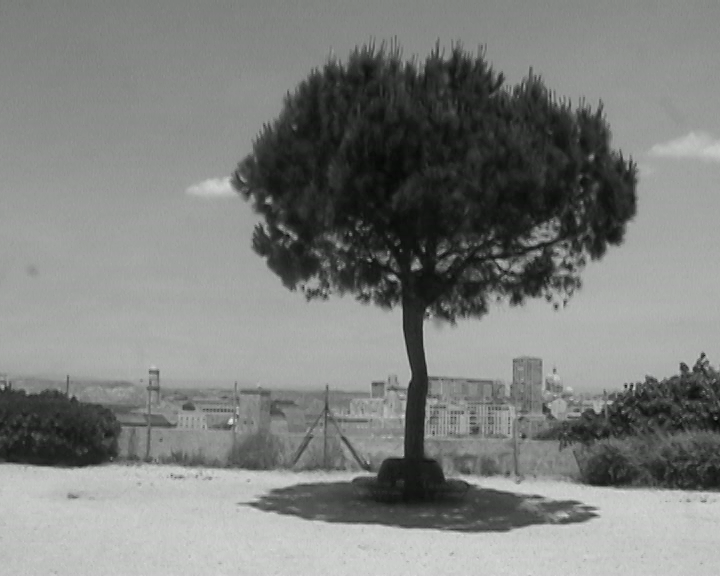 fotósorozat, videó