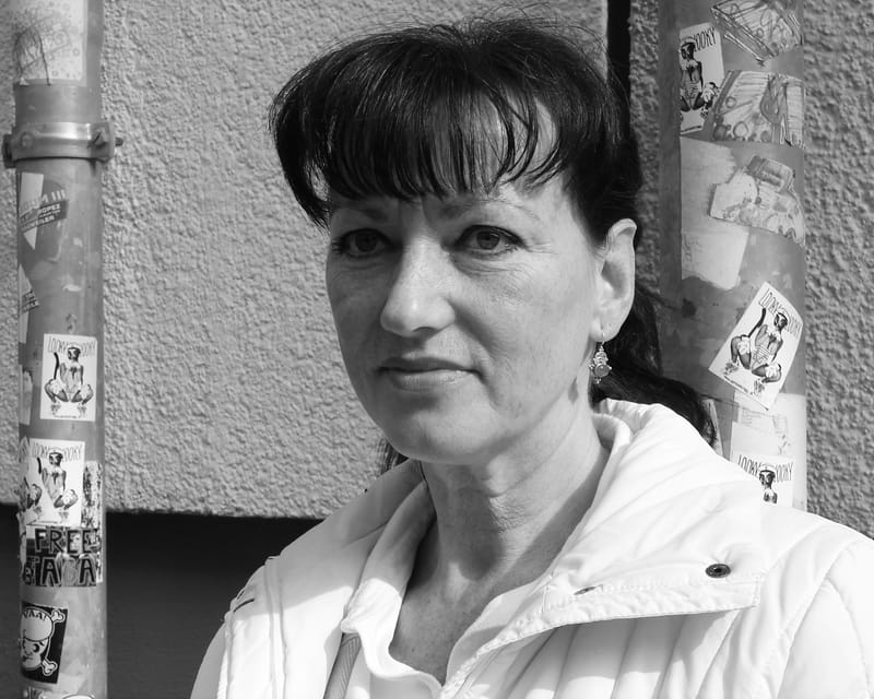 Gudrun, installáció