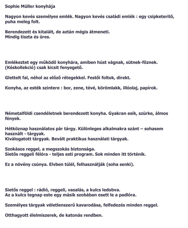 Sophie képei, fotóinstalláció