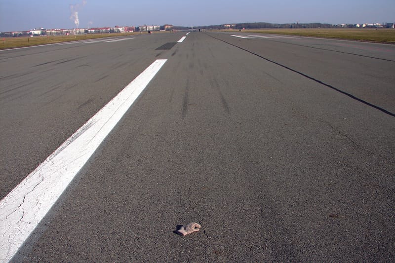 Edit képei, installáció