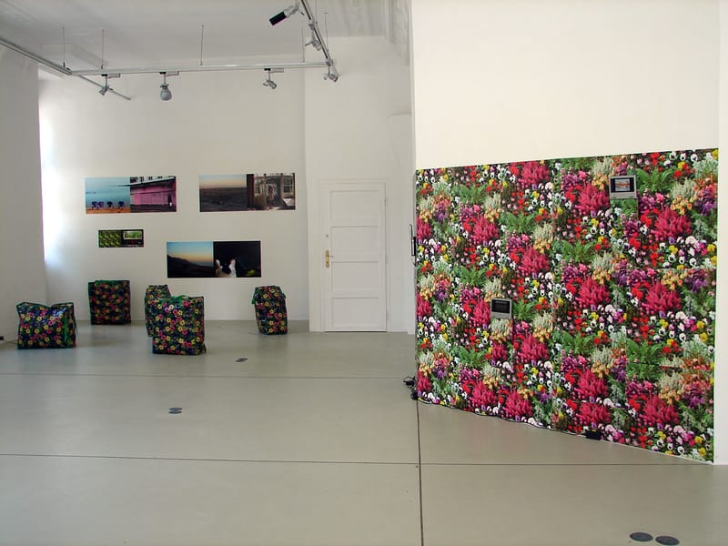 videóinstallációk