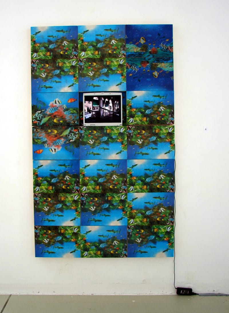 videóinstallációk