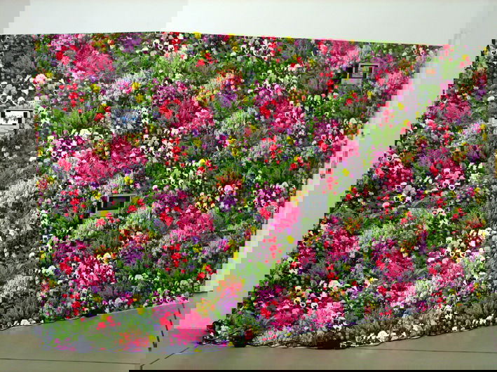 videóinstallációk