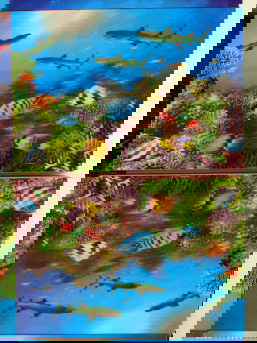 videóinstallációk