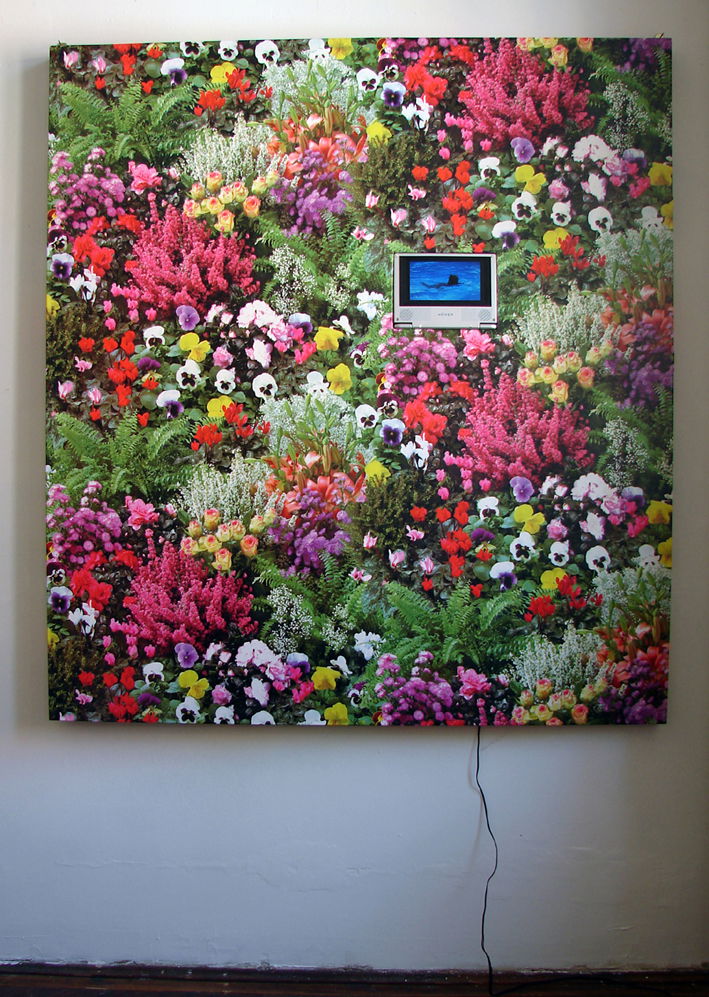 videóinstallációk