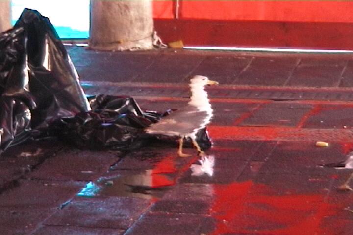 videóinstallációk