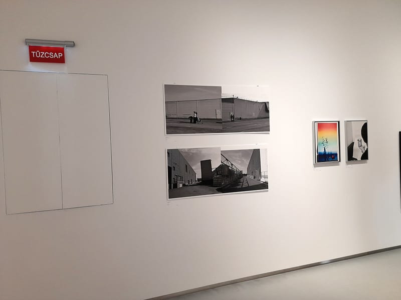 Patron 11. Q Contemporary 2021