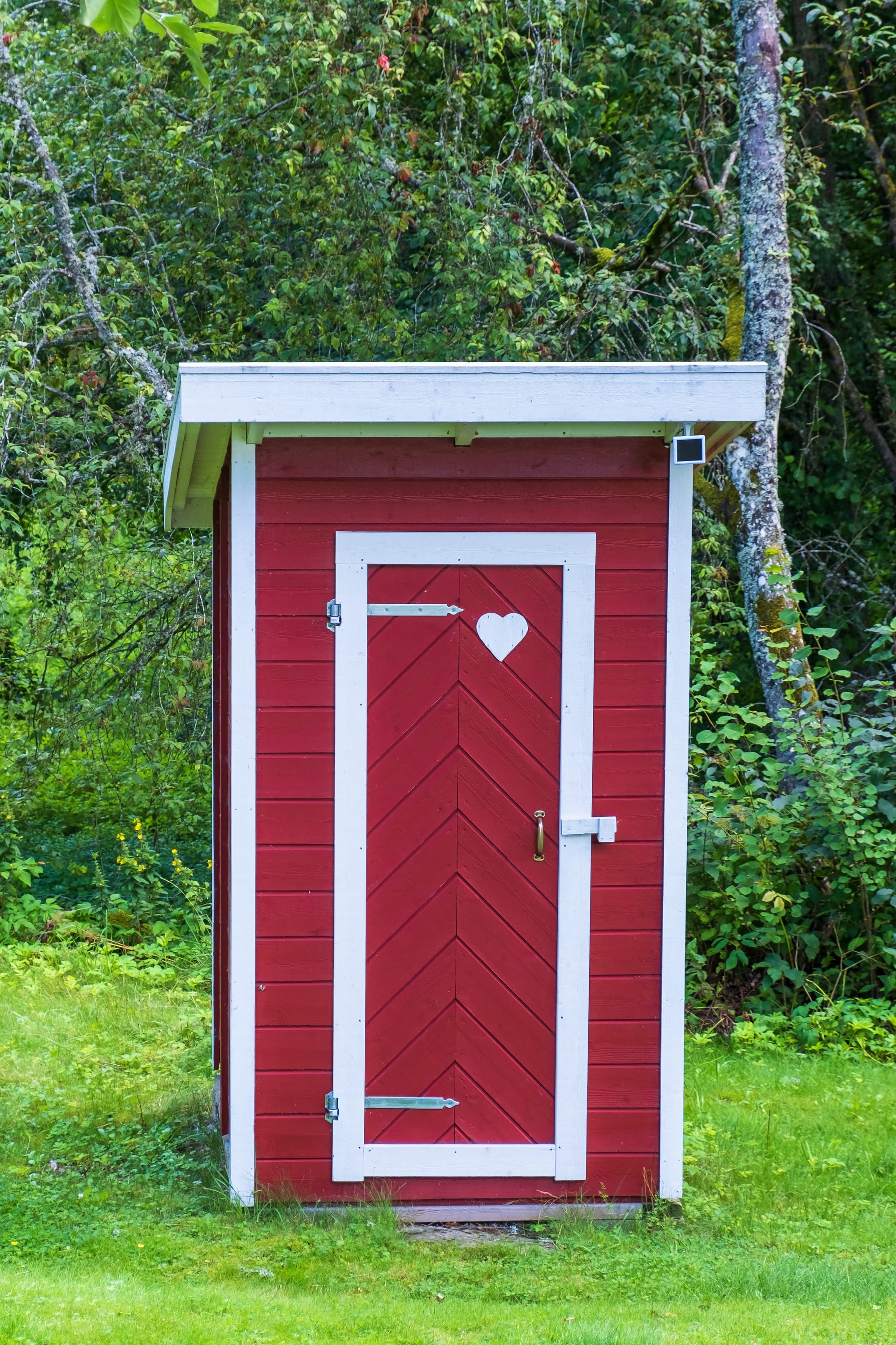 למה מבנה שירותים לגינה הפך למוצר דרישה בישראל?