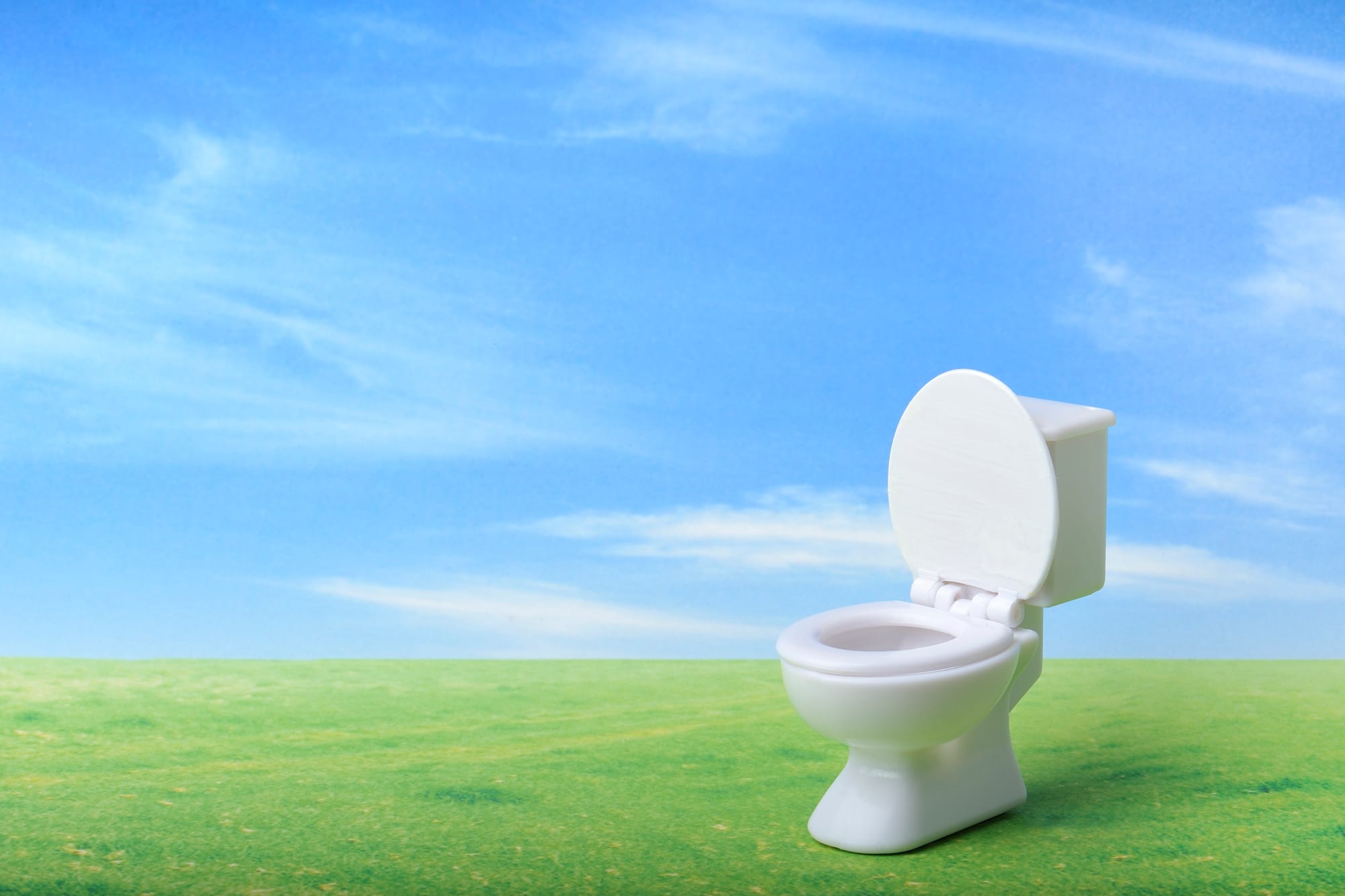 6 סיבות לבחור בשירותים ניידים אקולוגיים במקום שירותים כימיים