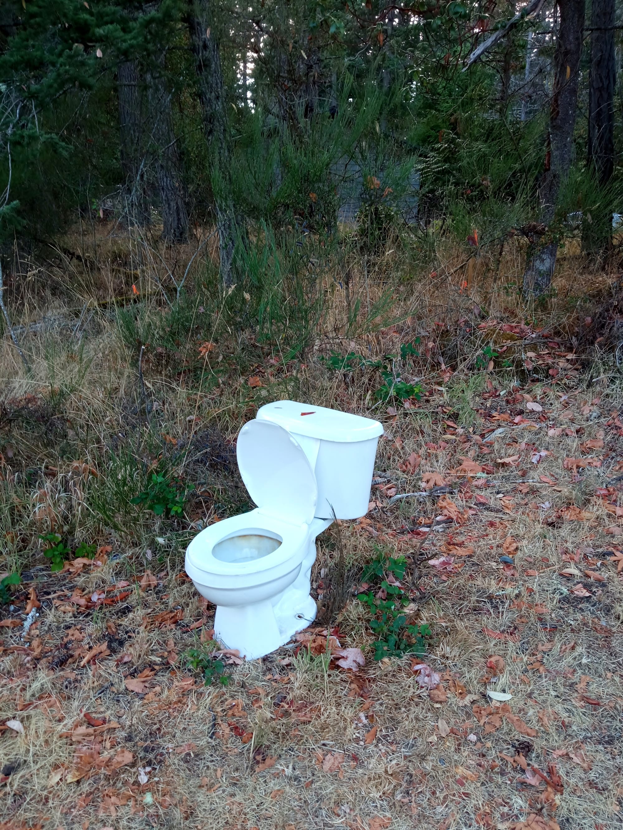 שירותים ניידים לאירועים בשטח – חוויה נוחה ומקצועית