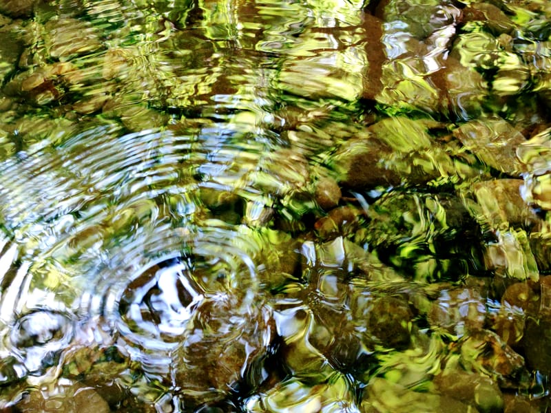 Flow