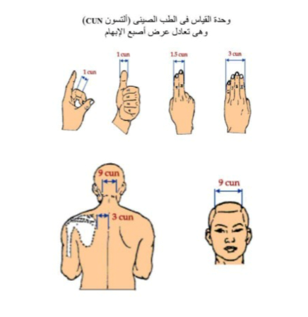 وحدة القياس الطب الصيني