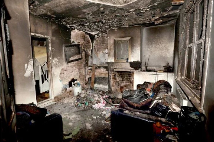 Mold Removal Experts: Choosing the Best Restoration Service in Elmont, NY