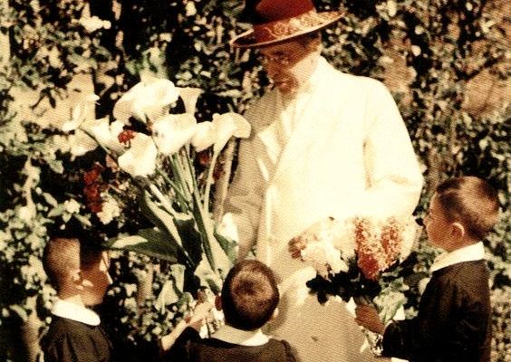 Cellules doctrinales