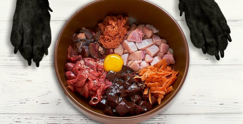 Alimentación Natural para Mascotas: Un Regreso a lo Esencial