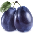 Prune