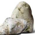 Ambre gris