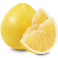 Pamplemousse