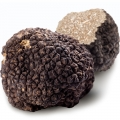 Truffe