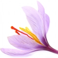 Safran