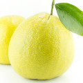 Bergamote