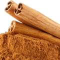 Cannelle
