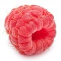 Framboise