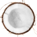 Noix de coco