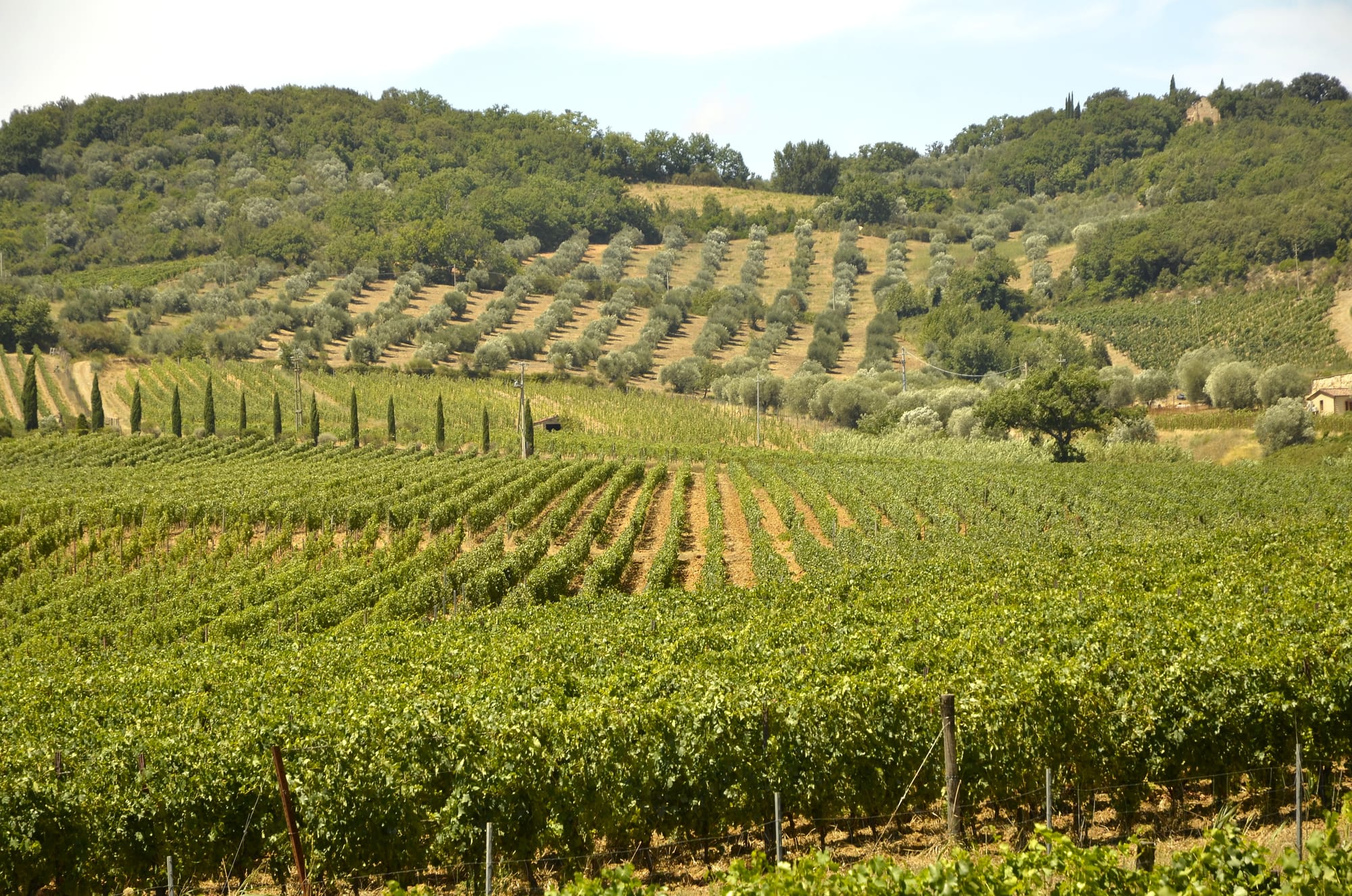 Parcela Mirador del Valle
