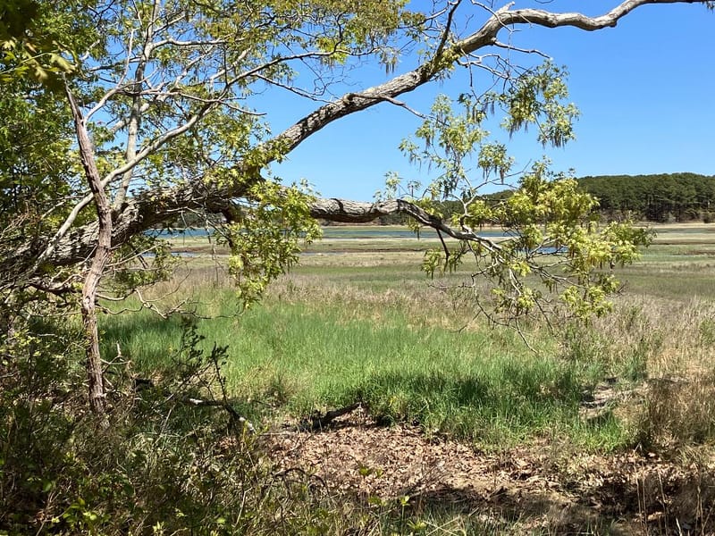 5 Aspects of Holistic Health