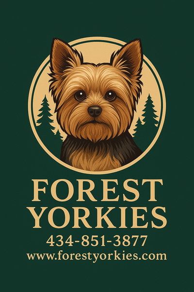 Forest Yorkies