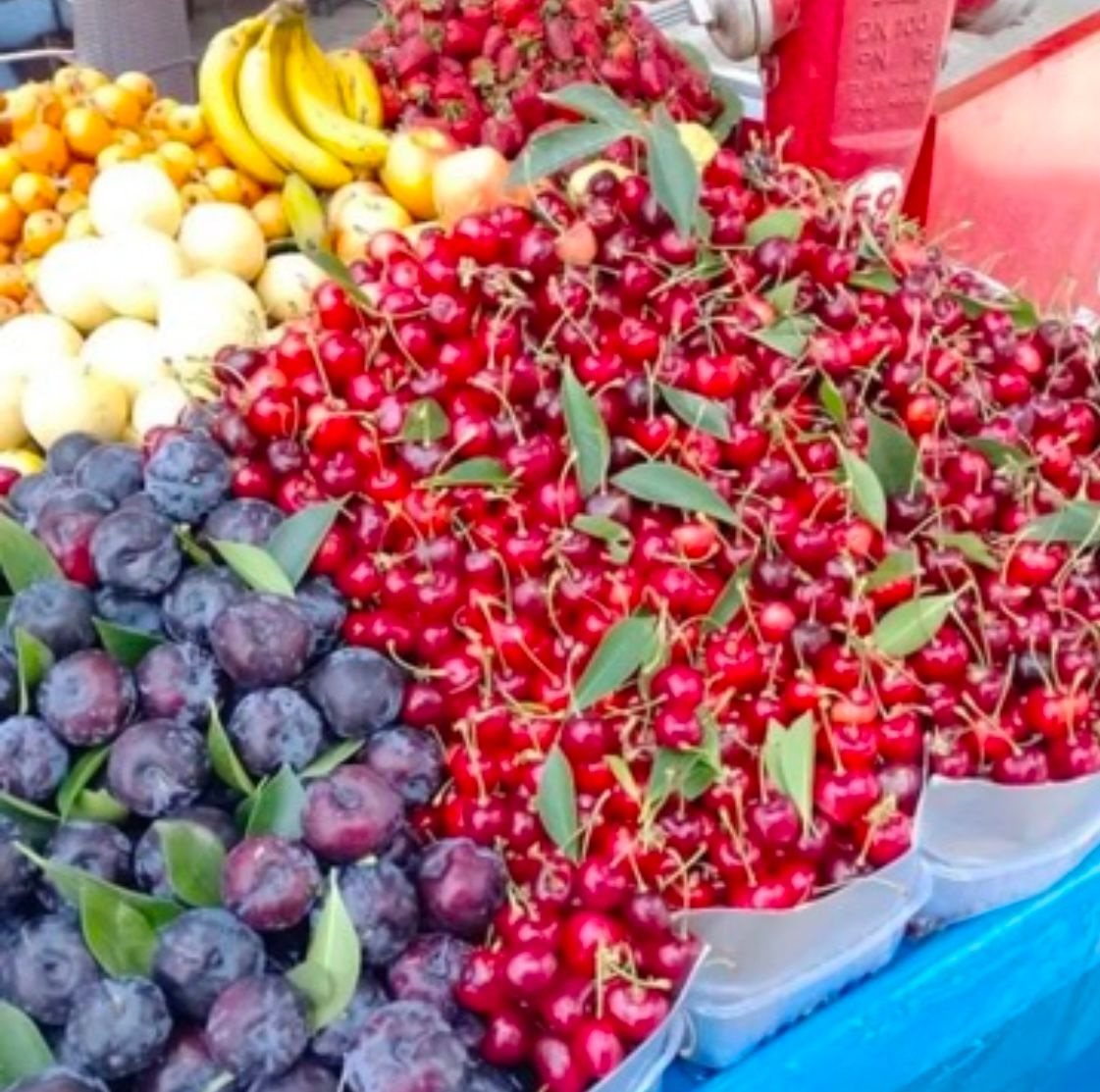 FOOD IS CLEANER OUTSIDE OF USA Why Fruits Abroad Feel Fresher (and Actually Have Seeds)
If you’ve traveled outside the U.S., you’ve probably noticed something: fruits taste richer, and yes — they actually have seeds.
In America, much of our produce is bred for convenience and shelf life, not flavor or tradition. That’s why you see seedless watermelons, grapes, and oranges everywhere. Abroad, many farmers still grow older, natural varieties — the kind our grandparents ate — which means more flavor, more nutrients, and seeds that show the fruit is the real deal.

But it’s not just about seeds. In many countries, fruits are grown with fewer pesticides, picked ripe, and sold quickly — instead of being harvested early and ripened in storage. The result? Cleaner, more vibrant food that feels like it just came off the tree.

Seeds aren’t just an inconvenience — they’re a sign of life. And for a lot of us, that’s reason enough to take a second look at what’s on our plates.