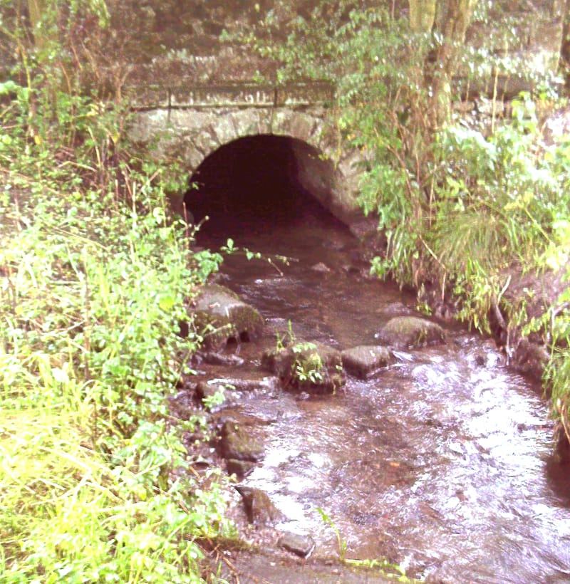 The waters of Wirksworth and the Georgian bath