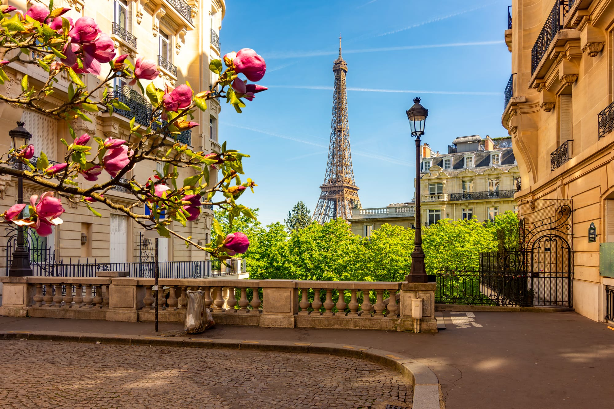 From Parisian Romance to Alpine Serenity: A Winter Journey Through France and Switzerland