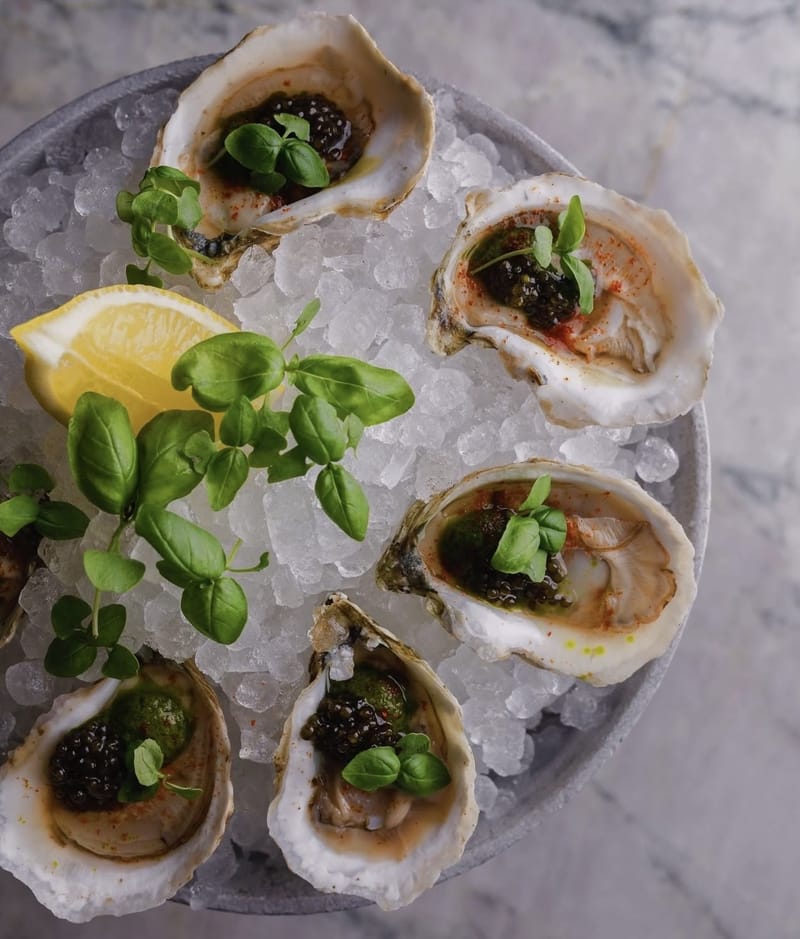 OYSTERS at Coquette