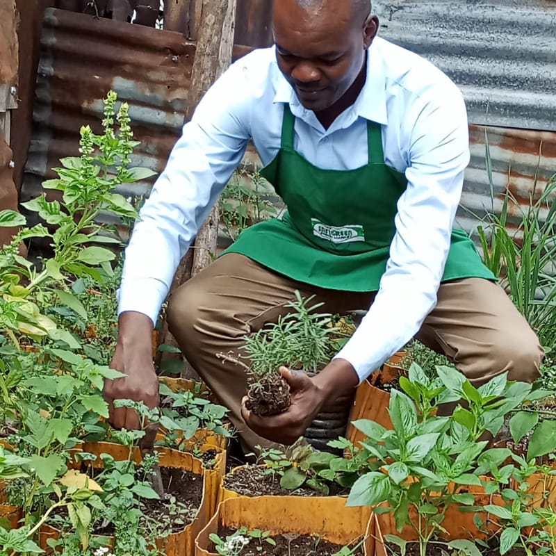 Clean and green Gardens initiatives