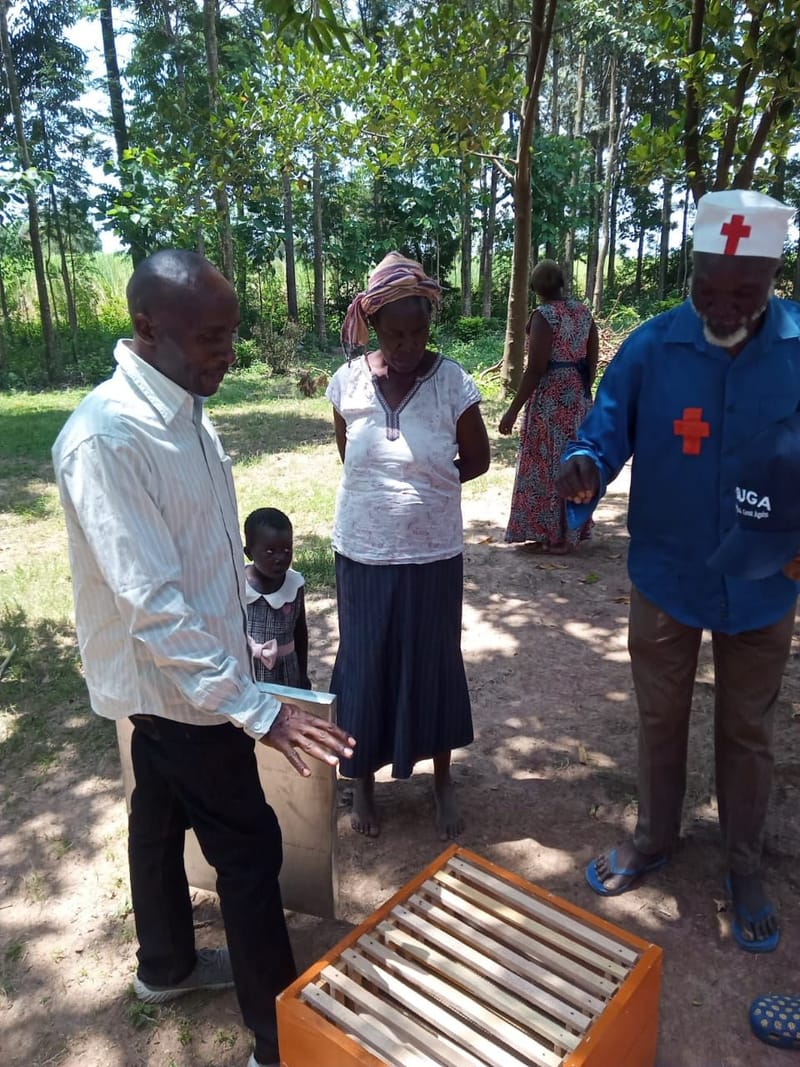 Beekeeper's Training