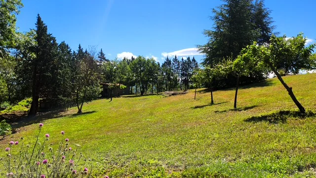 Jardin