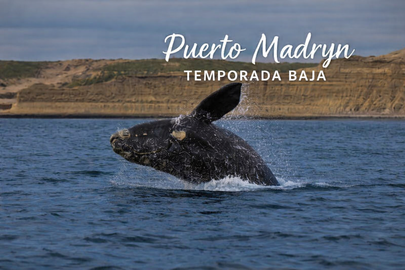 June to August 2026 - Puerto Madryn