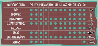 Guía práctica de temporada de fauna en Chubut