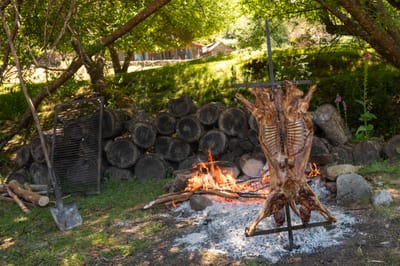 Qué comer en Puerto Madryn: platos típicos y sabores locales