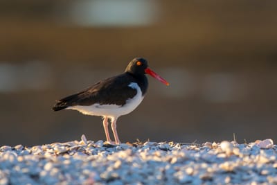 Fotos perfectas en la Patagonia: 10 trucos para viajeros