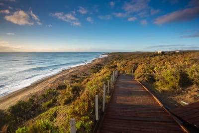 Península Valdés en 1 día: qué ver, rutas y consejos (desde Puerto Madryn)