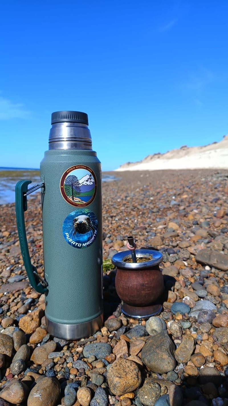 What is the best time to travel to Puerto Madryn - Argentine Patagonia