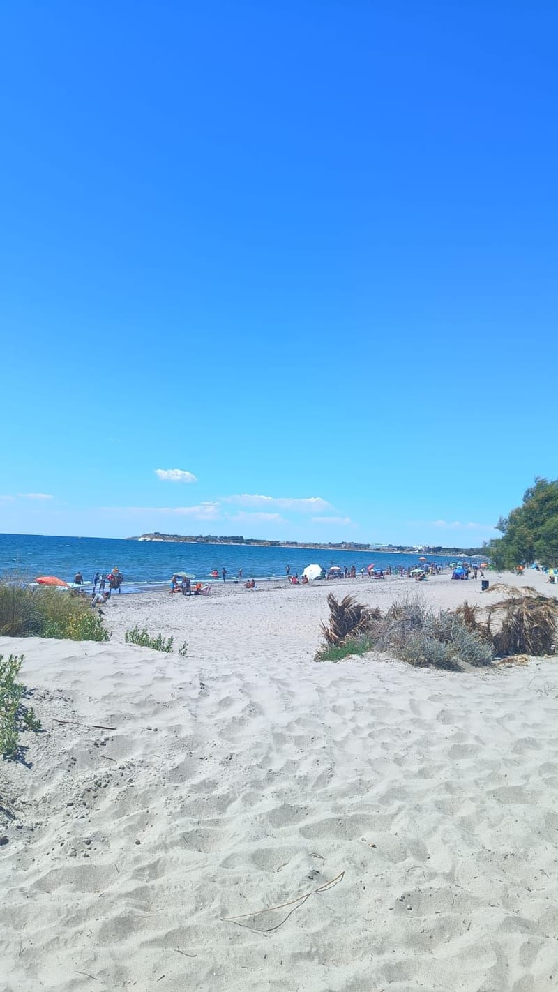 Cuántos días conviene quedarse en Puerto Madryn