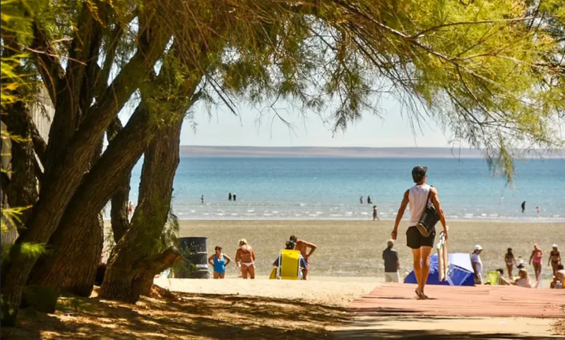 Puerto Madryn con niños: excursiones ideales para disfrutar en familia